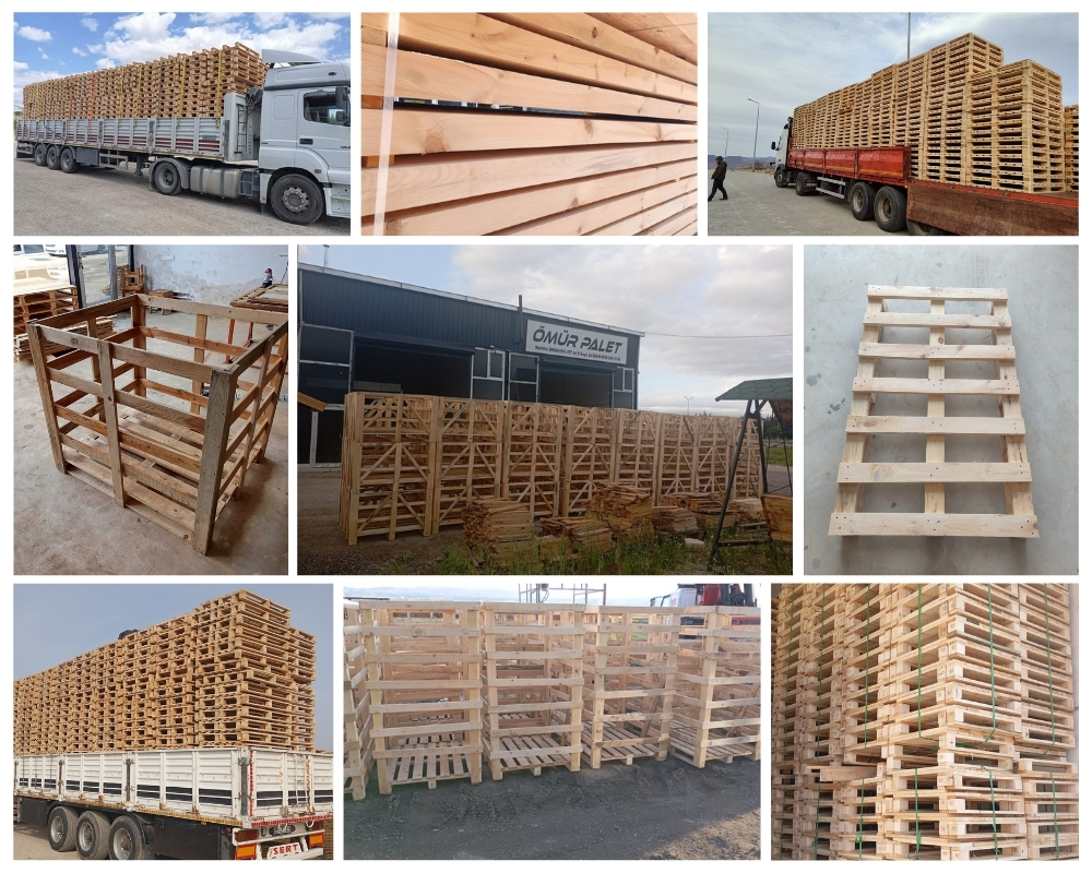 Borgerhout Houten Kisten, Europallets Groothandel Kopen